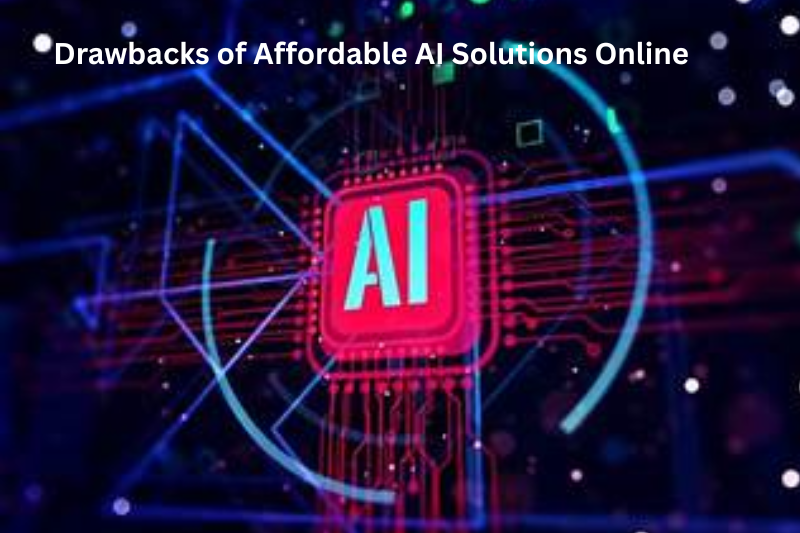Drawbacks of Affordable AI Solutions Online