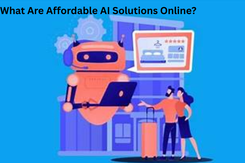 What Are Affordable AI Solutions Online